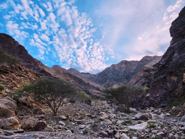 Photo Mountainscape