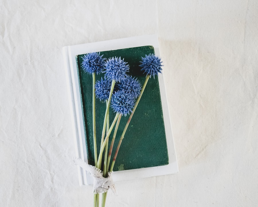 Photo Wellness journal