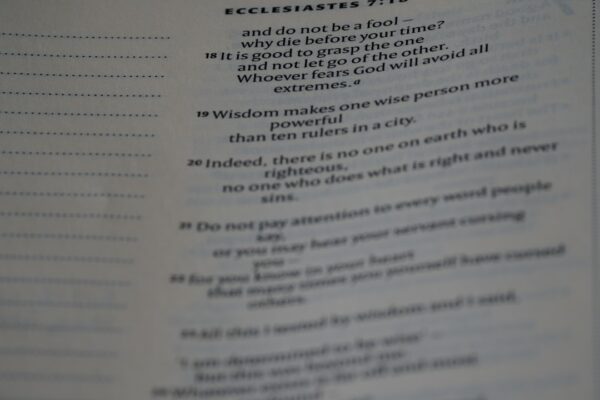 Photo Policy evaluation