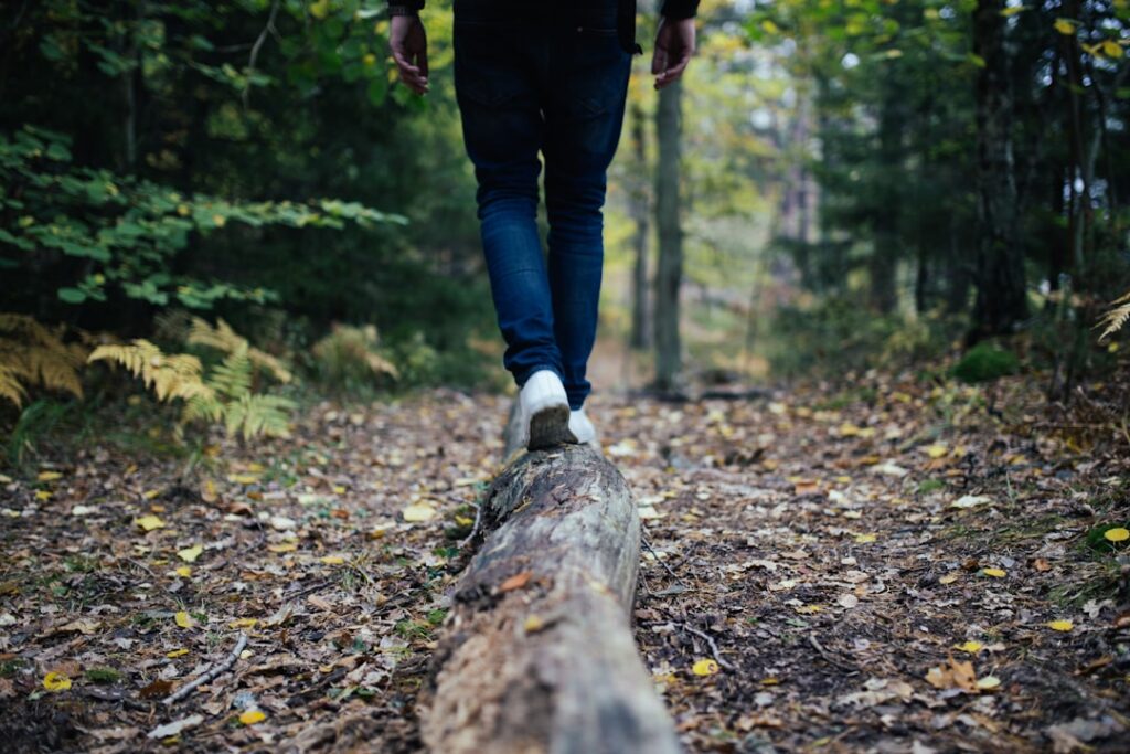 Photo Nature walk