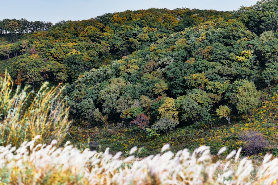 Photo Russian countryside