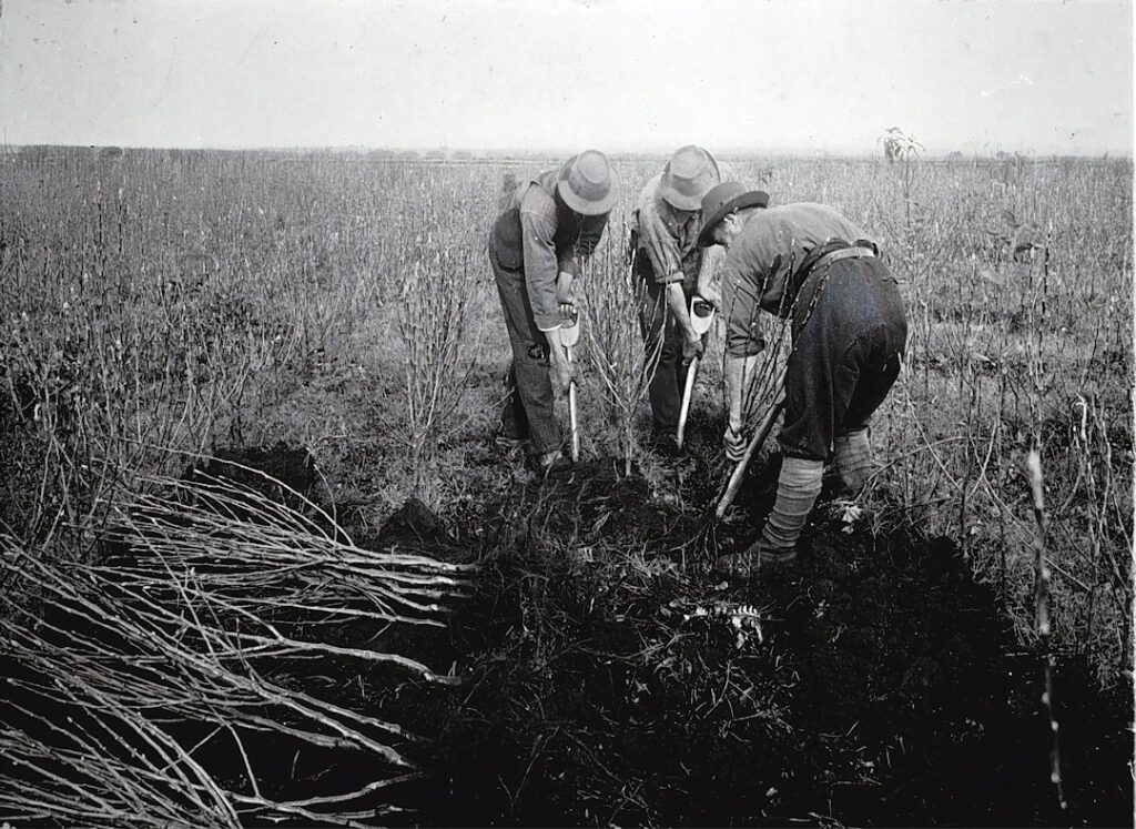 Photo Historical photograph