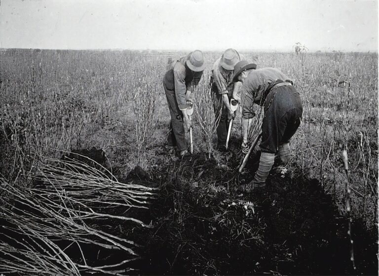 Photo Historical photograph