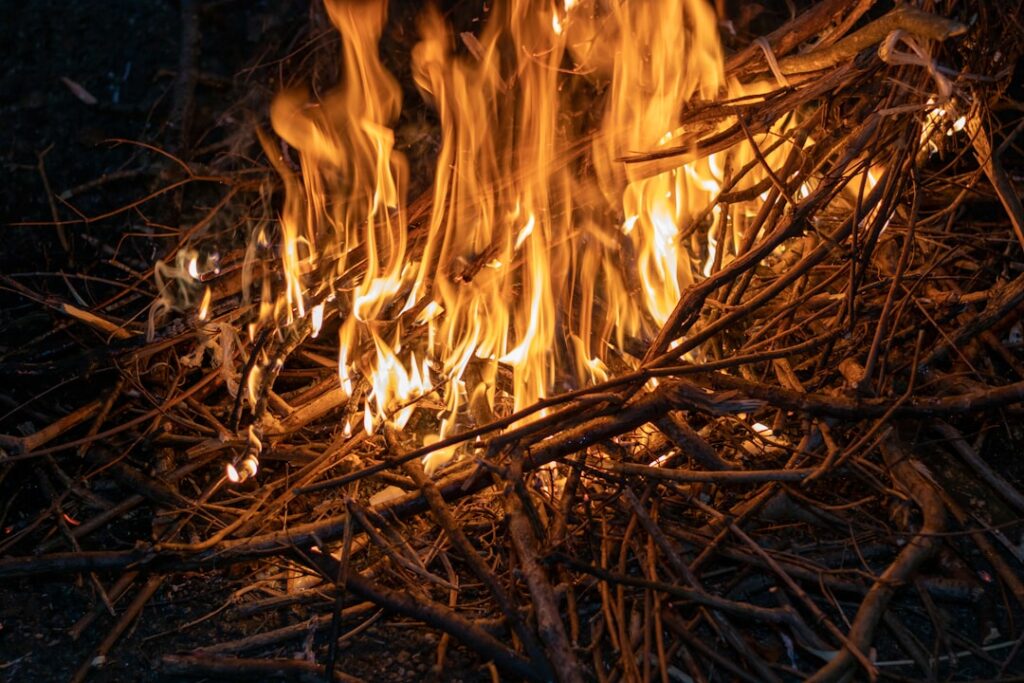 Photo Firewall logs