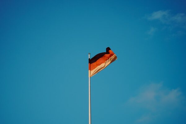 Photo Nazi flag