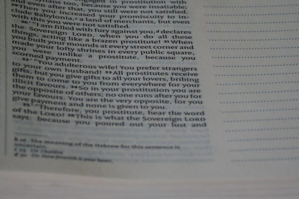 Photo Policy Analysis