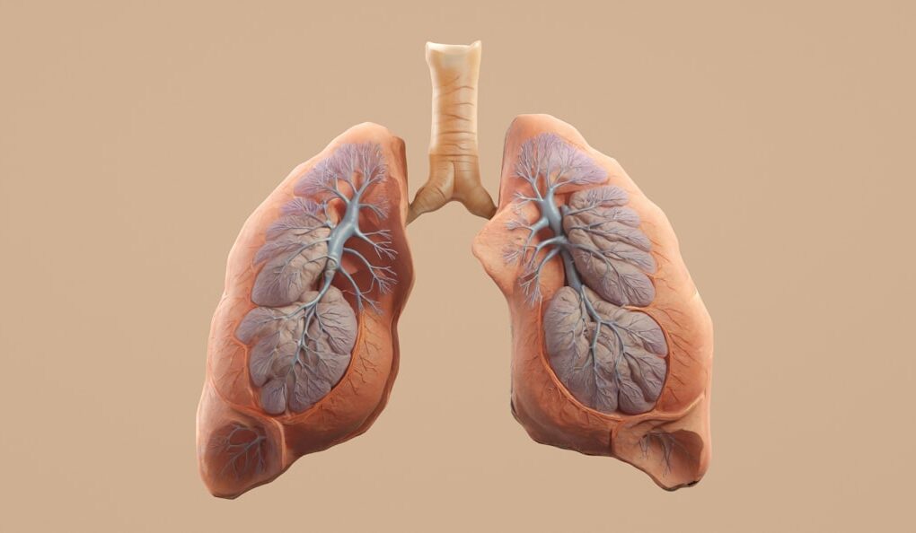 Photo Infographic illustration