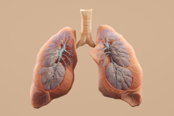 Photo Infographic illustration