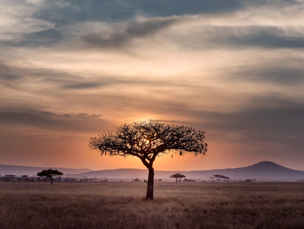 Photo African landscape