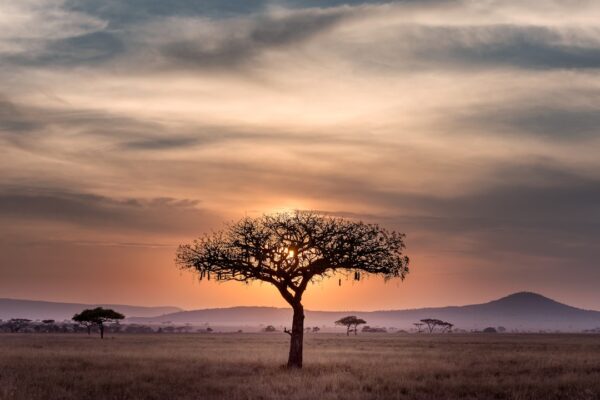 Photo African landscape