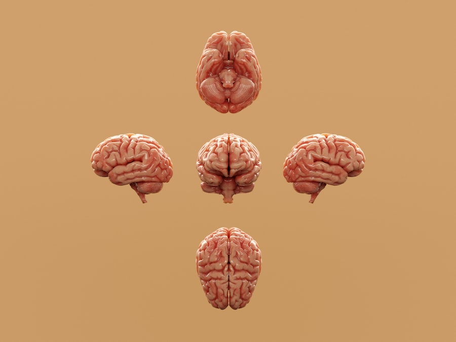 Photo Brain-Gut Axis
