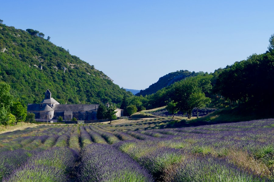 Provence