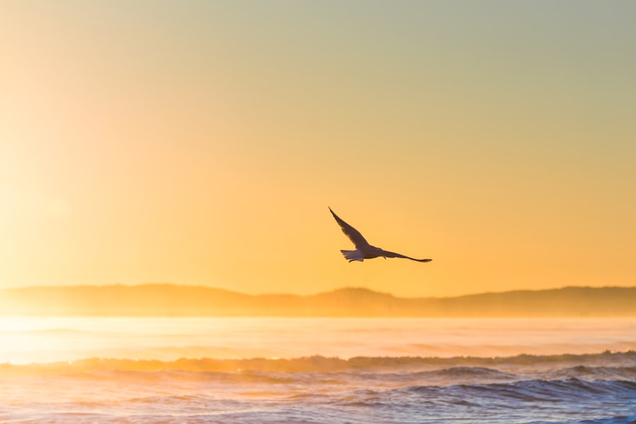 Flying