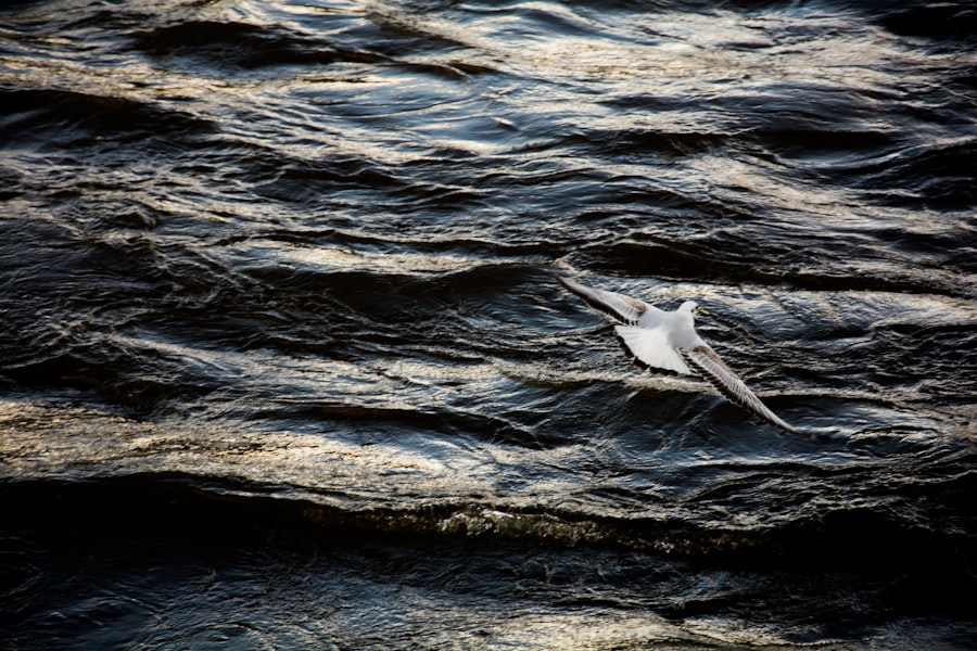 Sea Flight