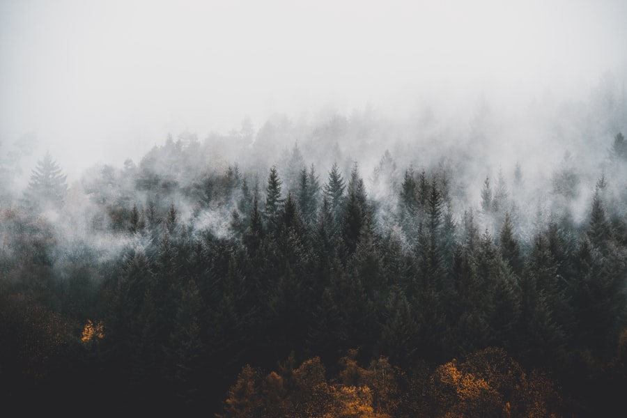 Breath Becomes Air