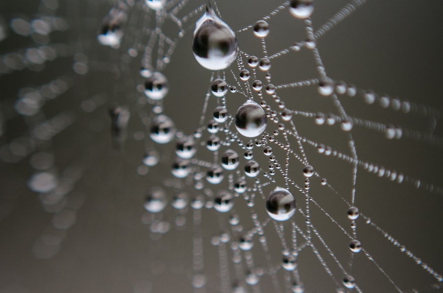 Web APIs