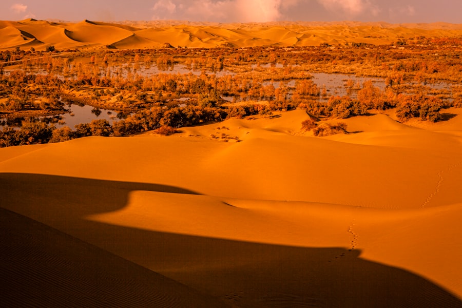 Arabian Sands