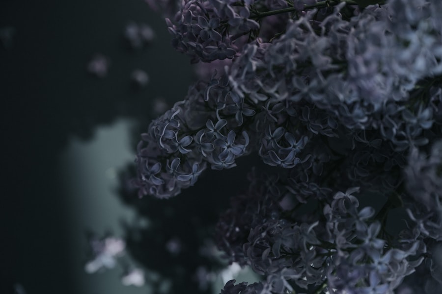Autoimmune Fix