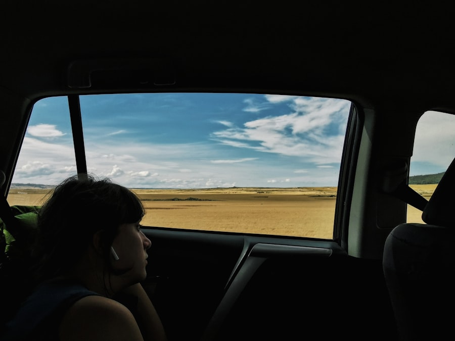 Travels with Charley