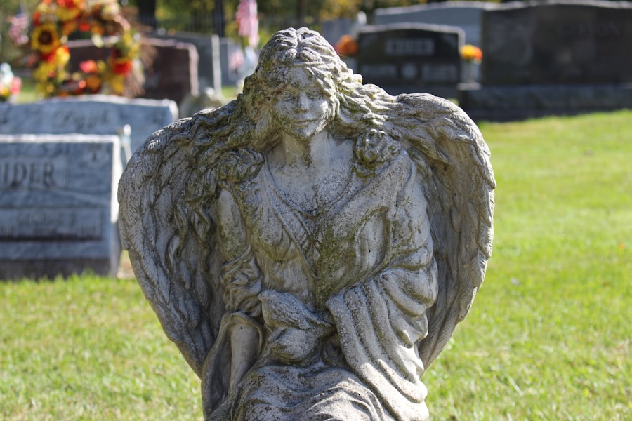 Angelas Ashes