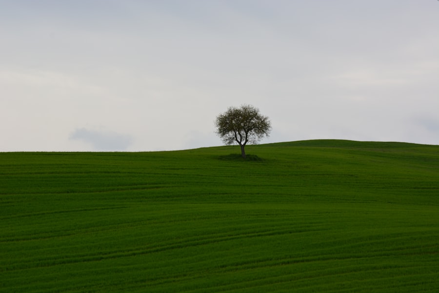 Fullstack Vue