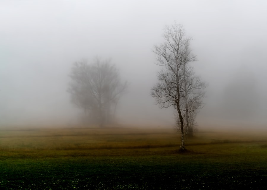 Visibility Unlimited