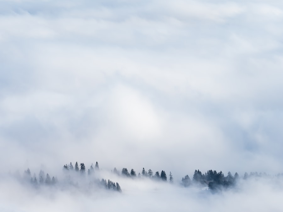 Photo Visibility Unlimited