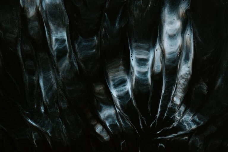 Photo Dark Net