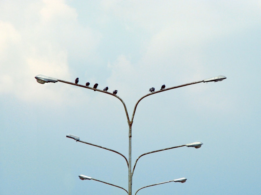 Photo Political Order