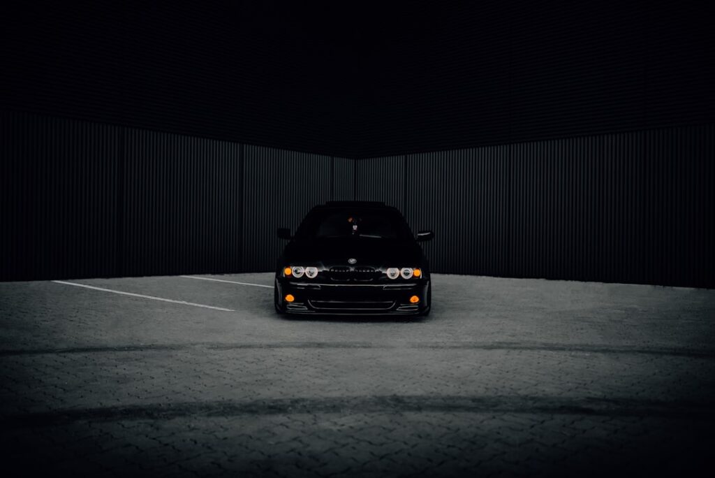 Photo Gone in the Dark