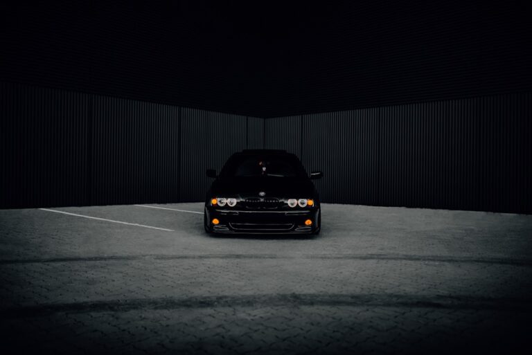 Photo Gone in the Dark