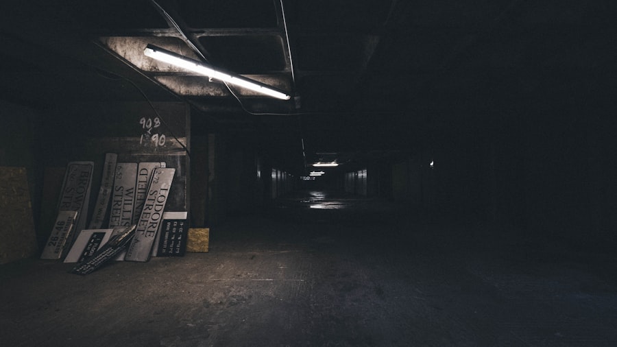 Photo Gone in the Dark