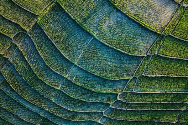 Photo Sustainable Development