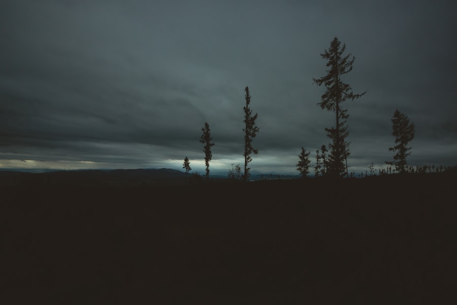 Photo Lonely Sky