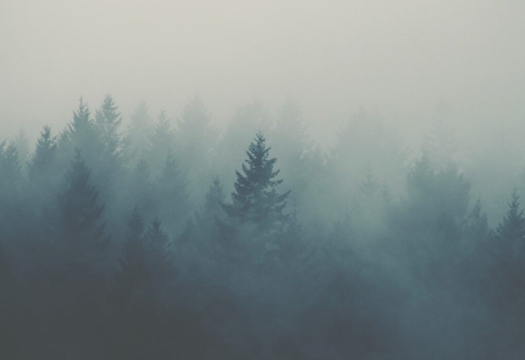 Photo Breath Becomes Air