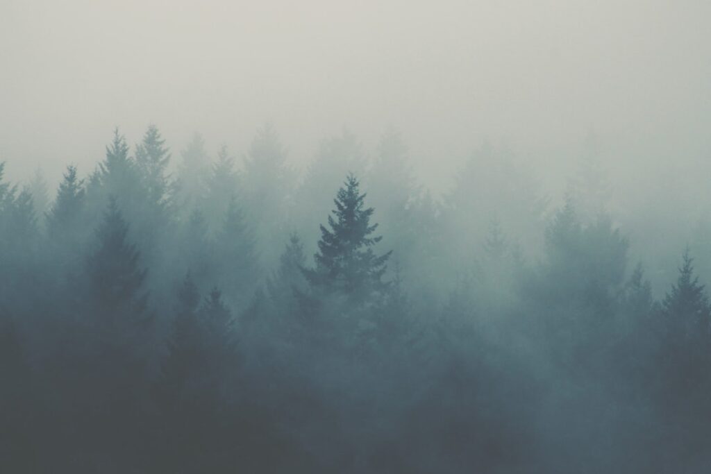 Photo Breath Becomes Air