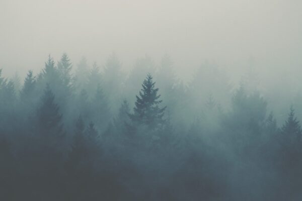 Photo Breath Becomes Air