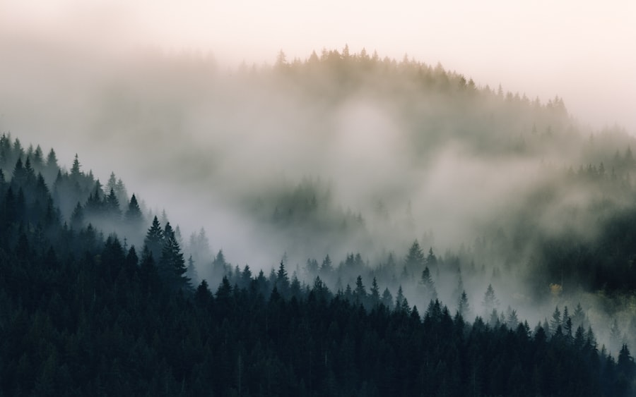 Photo Breath Becomes Air