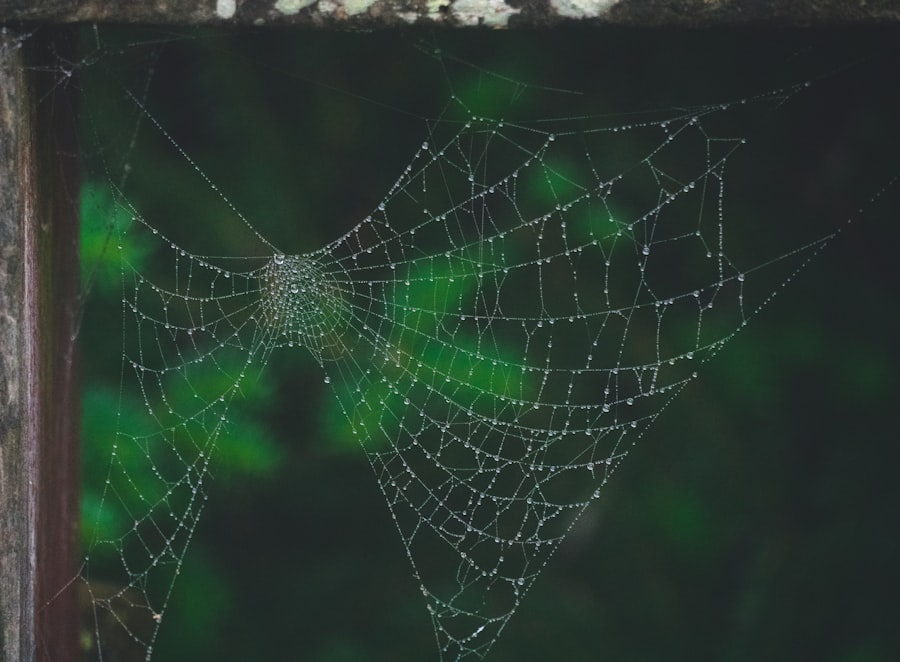 Photo Web APIs