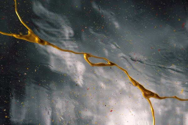 Photo Clean Gut