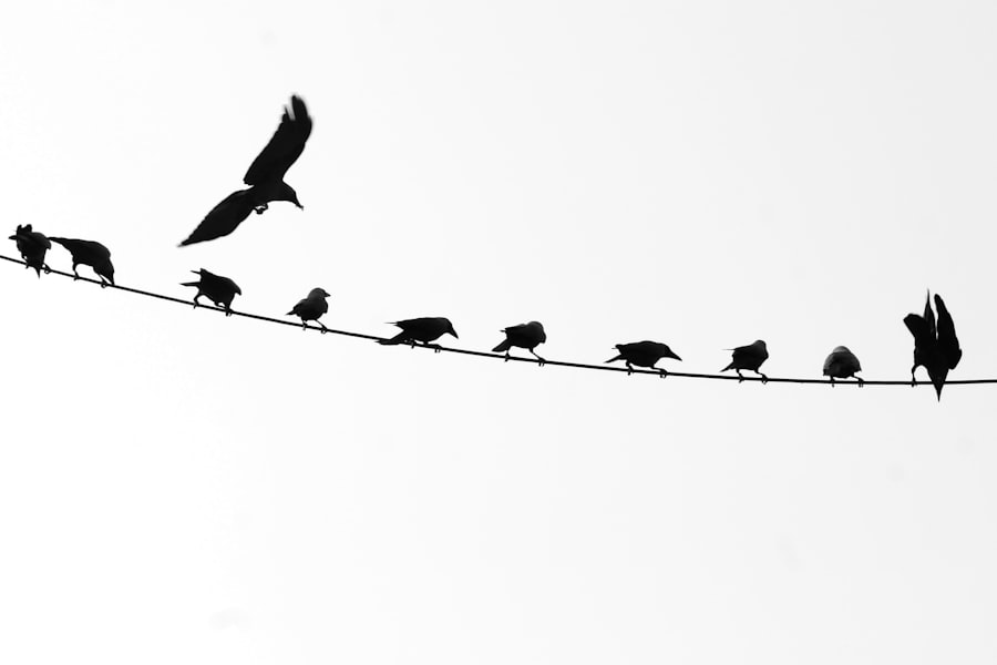 Photo Continuous Integration