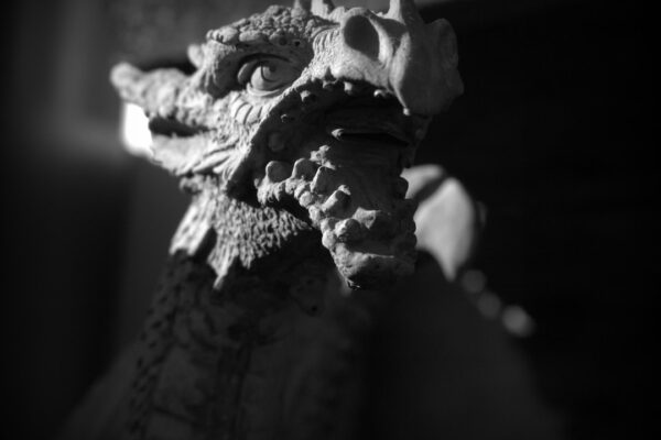 Photo Change Monster