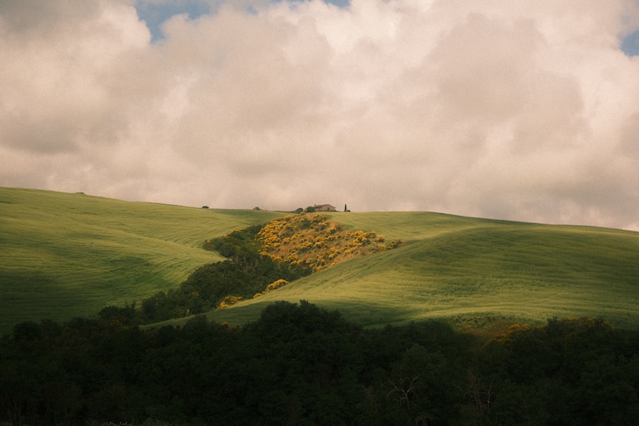 Photo Hillary Rodham Clinton