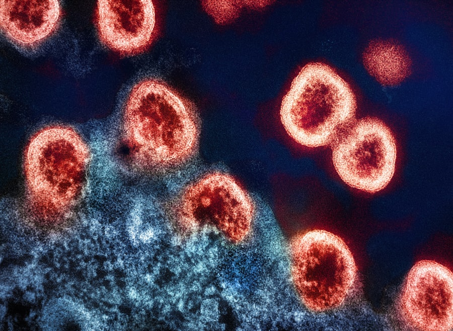 Photo Autoimmune Fix