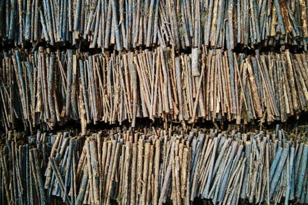 Photo File System Forensic Analysis
