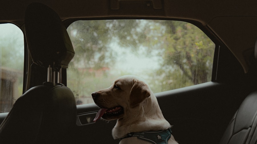 Photo Travels with Charley