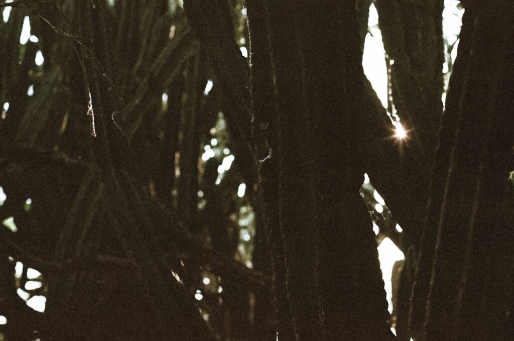 Photo Jean-Paul Sartre