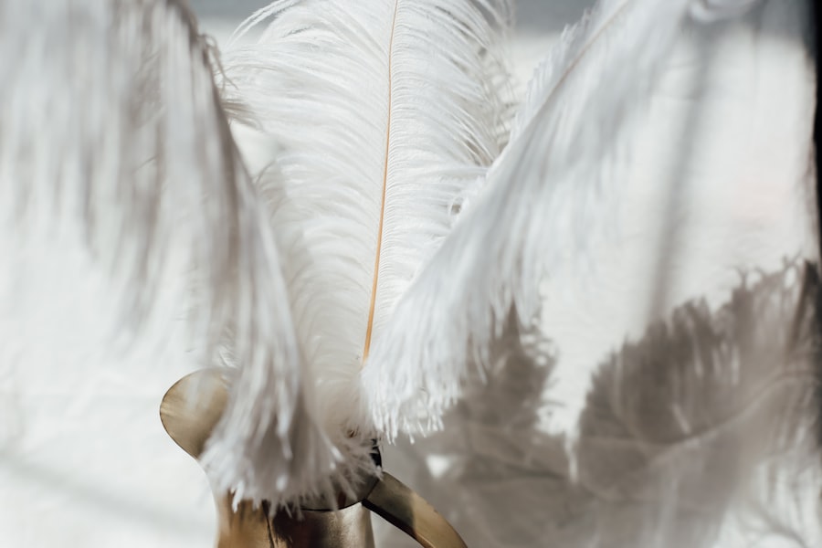 Photo Wings on My Sleeve
