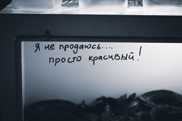 Photo OpenVPN