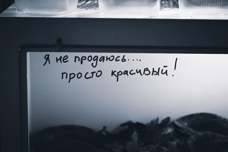 Photo OpenVPN